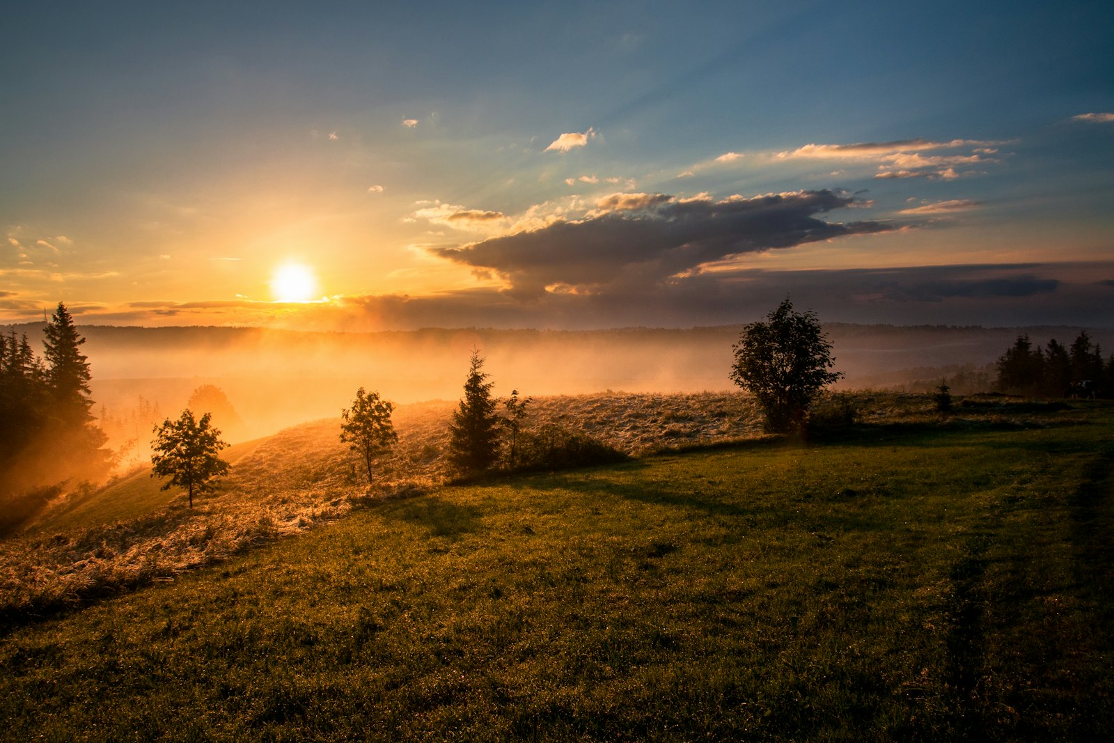 Sun rising over a quiet field
