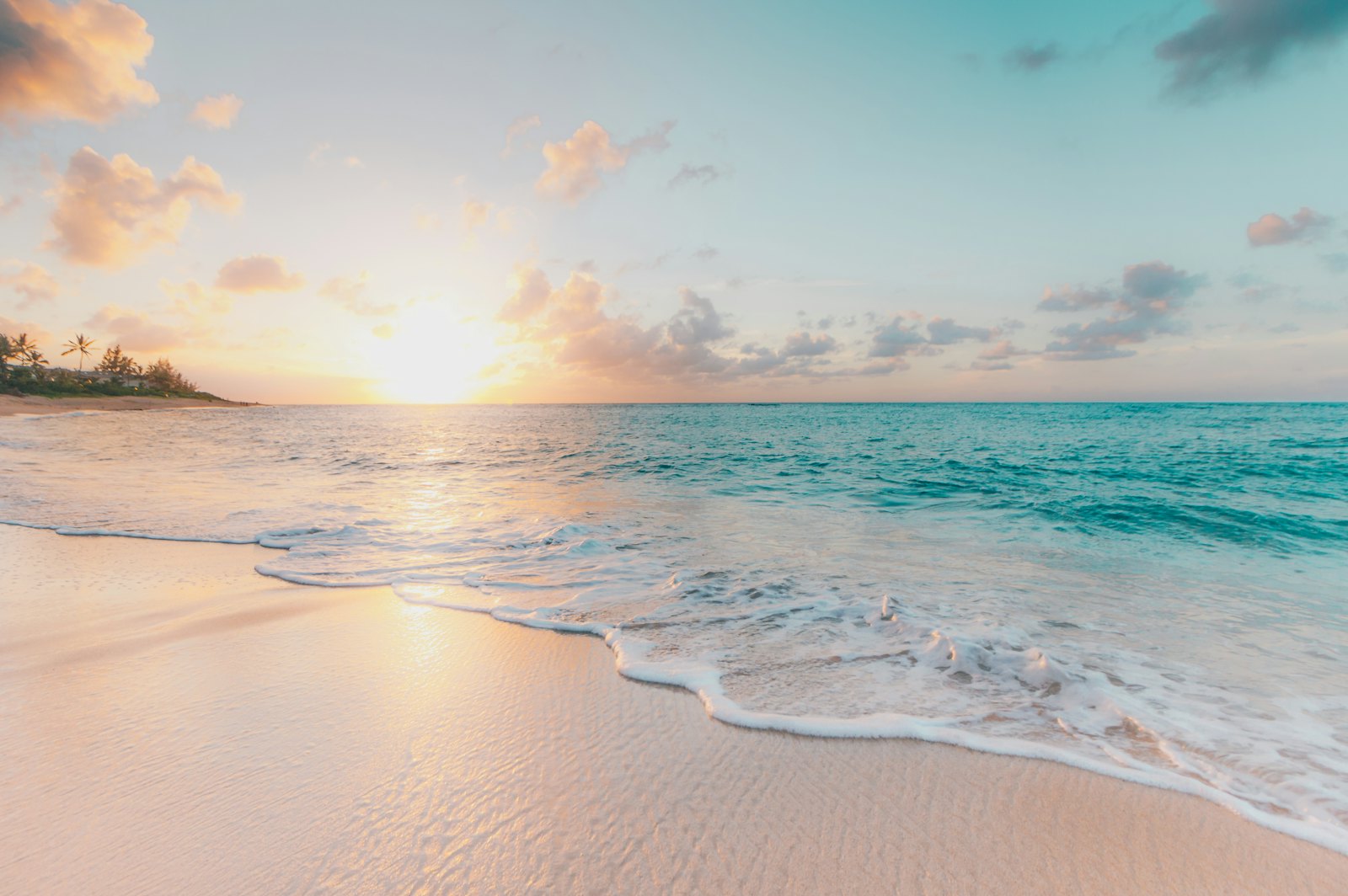 A calm shoreline at sunrise